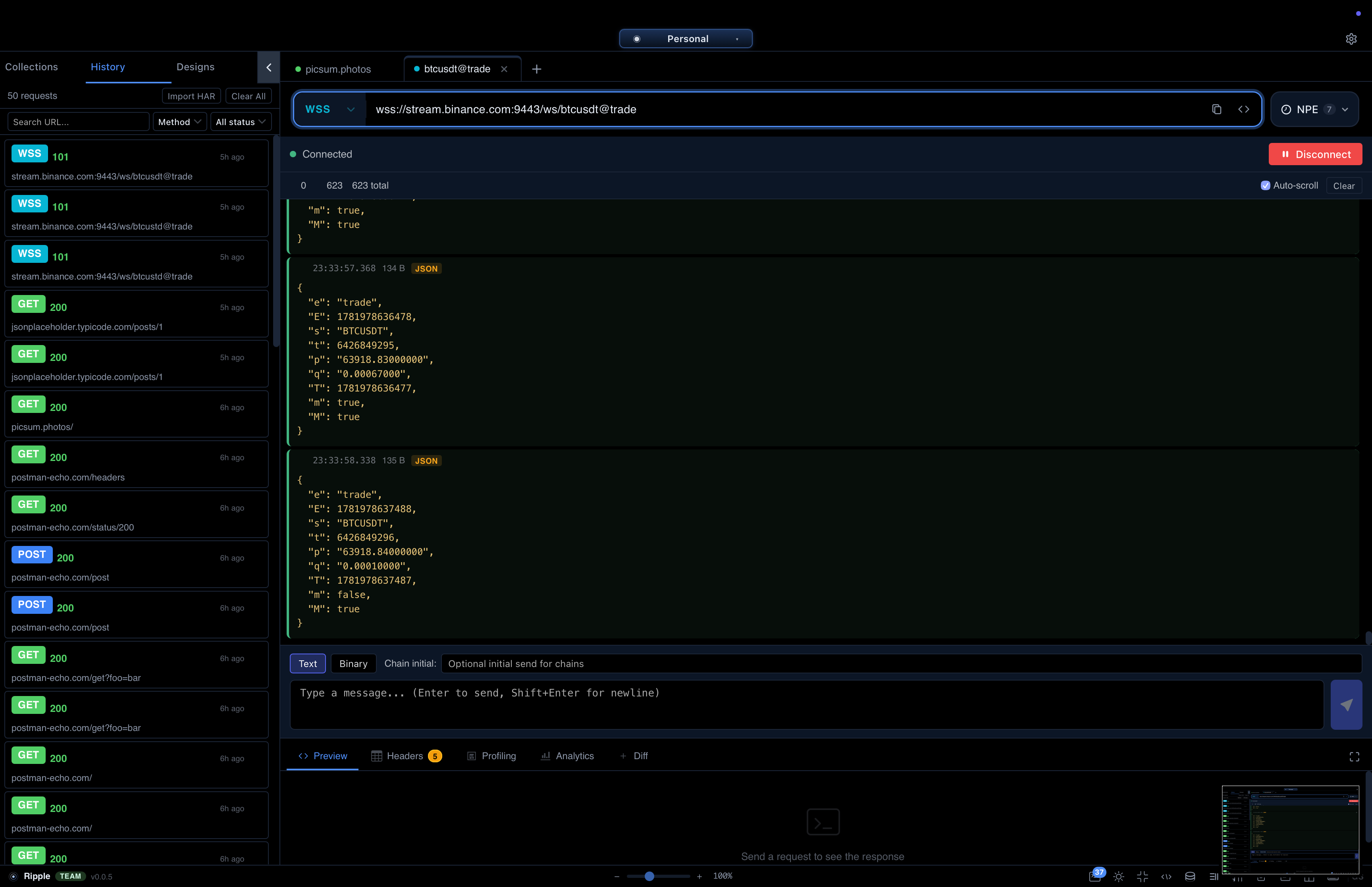Ripple workspace showing the HTTP client, collections sidebar, and response panel.